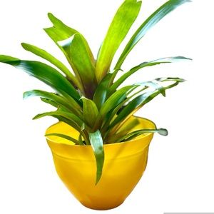 💛 NWT Yellow 10” Planter Flower Pot 💛